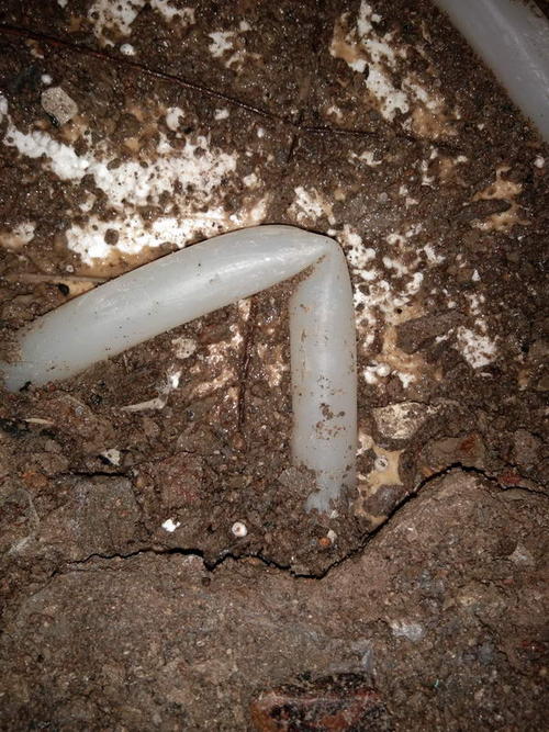 康乐堵点精准查找